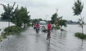 IMG-20210812-WA0016