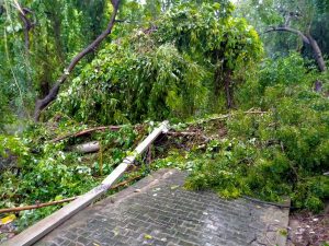 IMG-20211002-WA0021