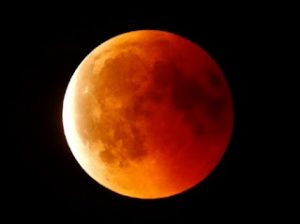 IMG-20211112-WA0007
