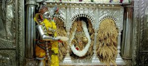 IMG-20211209-WA0022