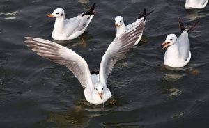 IMG-20220209-WA0024