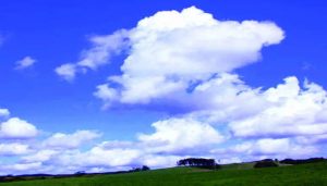IMG-20220226-WA0046