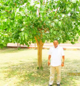 IMG-20220526-WA0019
