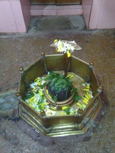 IMG-20220719-WA0003