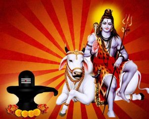 IMG-20220729-WA0000