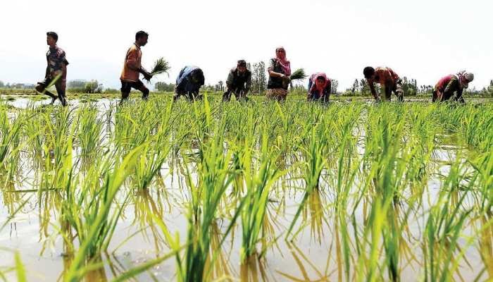 893206-pm-kisan-scheme