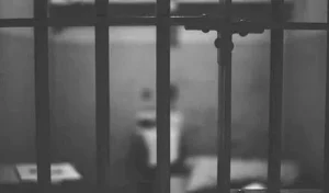 Jailed_V_jpg--442x260-4g