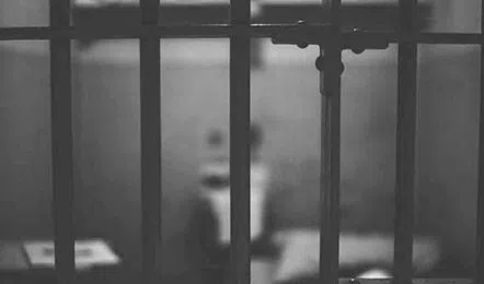 Jailed_V_jpg--442x260-4g