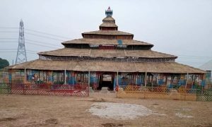 IMG-20221101-WA0050(1)