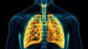 lungs_getty_1-sixteen_nine