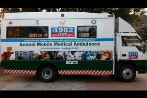 201705300022301367_State-launches-1962-ambulance-service-for-cattle_SECVPF