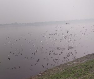 IMG-20221203-WA0011